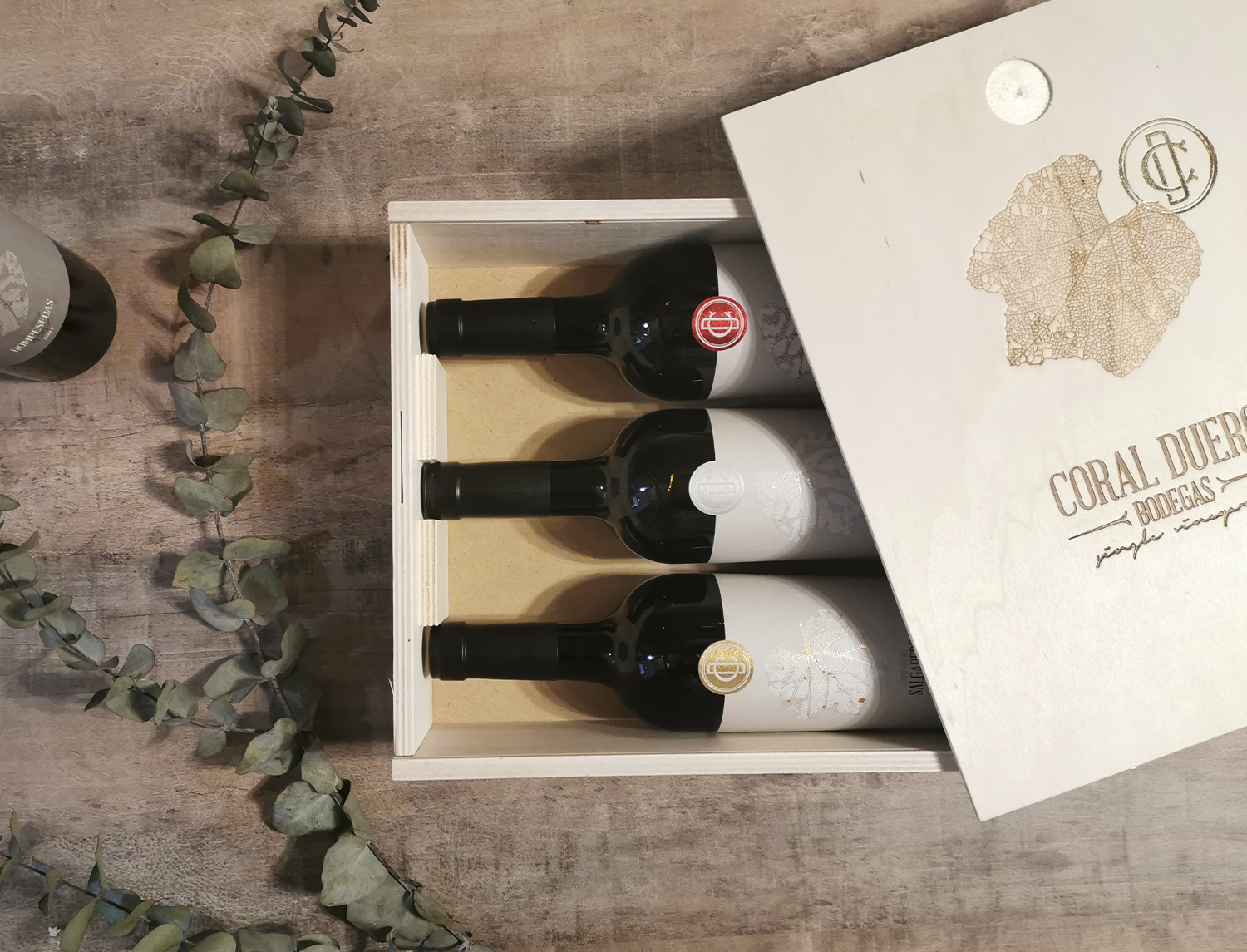 Desarrollo Integral Bodegas Coral Duero