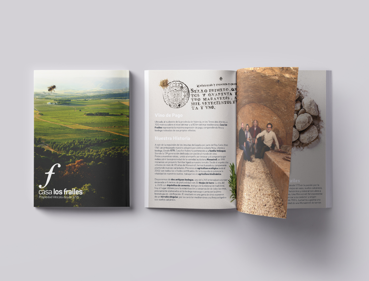Desarrollo Integral Bodegas Los Frailes