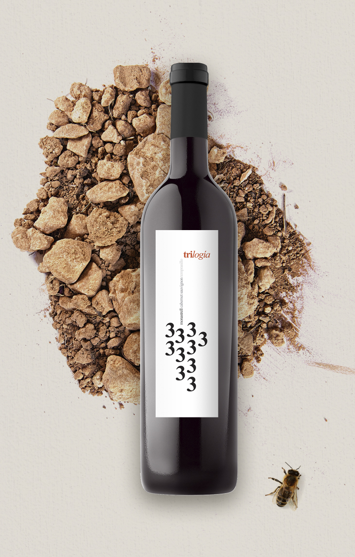 Desarrollo Integral Bodegas Los Frailes